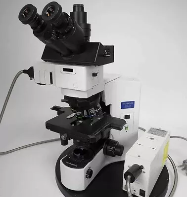 Buy [Operation Tasted] OLYMPUS BX41 Biological Microscope • 4,386.47$