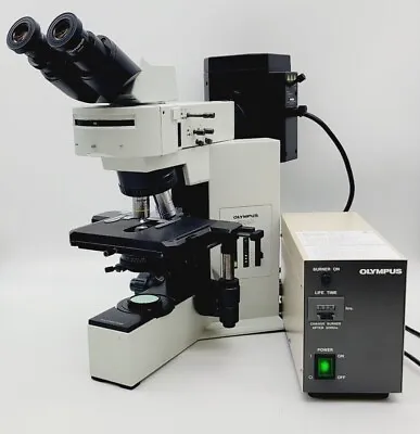 Buy Olympus Microscope BX40 With Fluorescence, 10x, And 40x • 3,500$