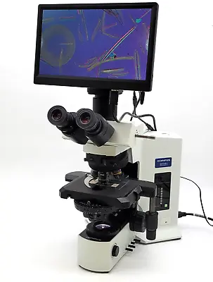 Buy Olympus Microscope BX51 With DIC And Trinocular Head • 15,995$