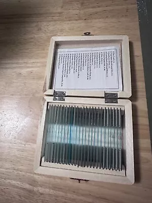 Buy AmScope 25 Prepared Microscope Slides Glass With Wooden Box • 13$