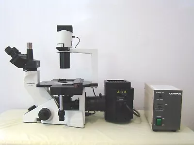 Buy Olympus CK 40 Phase Contrast / Fluorescence Microscope • 4,900$