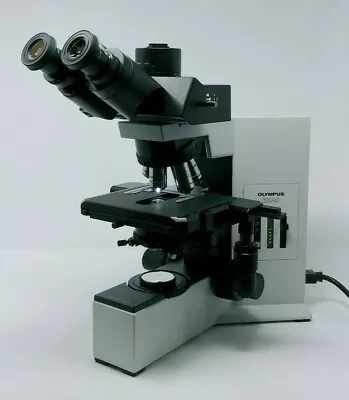 Buy Olympus Microscope BX40 With Trinocular Head And 100x • 4,000$