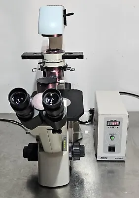 Buy Motic AE31 Inverted Phase Contrast Fluorescence Microscope • 2,349$
