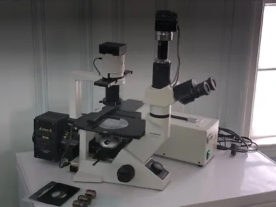 Buy Olympus CKX41 Inverted Phase Contrast Fluorescence Microscope • 4,000$