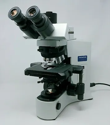 Buy Olympus Microscope BX41 With 2x, 60x, And Trinocular Head • 5,650$