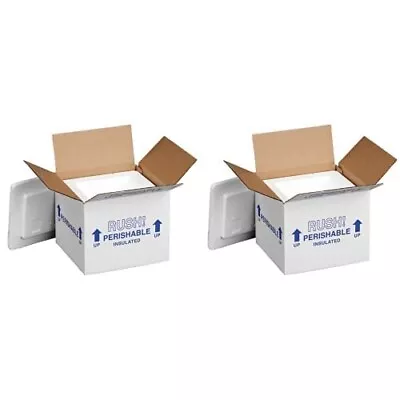 Buy Polar Tech 205C Thermo Chill Insulated Carton With Foam Shipper, Pack Of 2  • 58.25$