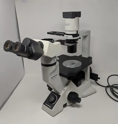 Buy Olympus CKX41 Inverted Phase Contrast Microscope CKX41SF • 1,699.99$