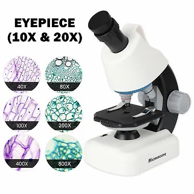 Buy 2022 Student Microscope 40X-800X Cordless LED Illumination Lab Compound FOUR E'S • 34.99$