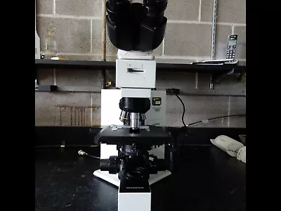 Buy Olympus BX40F Compound Microscope • 3,100$