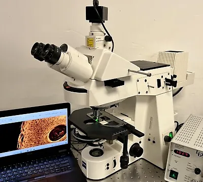Buy Zeiss Axioplan 2 Fluorescence  Nomarski DIC Microscope  Cam + Laptop • 12,550$