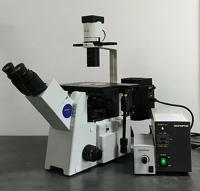 Buy Olympus Microscope IX51 With Fluorescence And Phase Contrast • 11,750$
