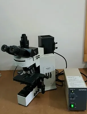 Buy Olympus Microscope BX50  With Fluorescence (Fully Serviced) • 8,500$