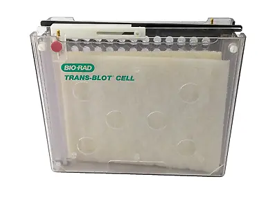 Buy Bio-Rad Large Western Blot Tank W/ Cassette 9x7x4 Trans-Blot Cell • 50$