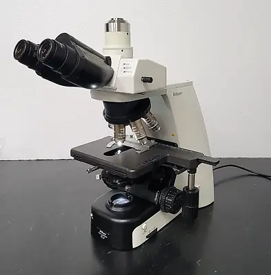 Buy Nikon Microscope Eclipse Ci-L With 2x And Trinocular Head For Pathology • 6,650$