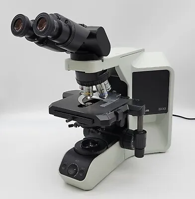 Buy Olympus Microscope BX43 With Tilting Head And 100x Objective • 6,450$