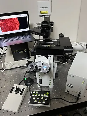 Buy Olympus IX81 Inverted Scanning Fluorescence DIC Microscope X-Cite LED And Prior • 27,950$