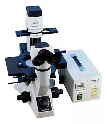 Buy Olympus CKX41 Inverted Phase Contrast Fluorescence Microscope • 7,700$