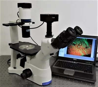 Buy Fisher Micromaster Inverted Phase Contrast Microscope With 5 MP Camera • 3,450$