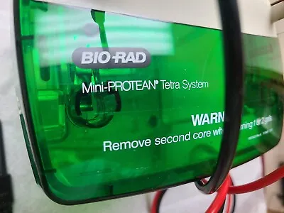 Buy BIO RAD Mini-PROTEAN Tetra System • 95$