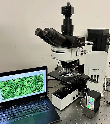 Buy Olympus BX50 Universal LED Fluorescence Microscope 5MP Camera And Laptop • 7,450$