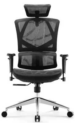 Buy SIHOO Ergonomic Office High Back Mesh Chair With Adjustable Lumbar • 549.99$