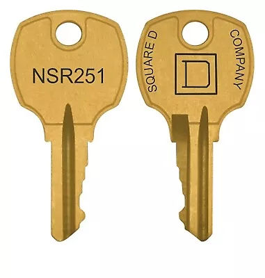 Buy Two NSR251 Keys  (2)  For  Square D Electrical Panels  | Pair Of  LP9618 Keys • 16$
