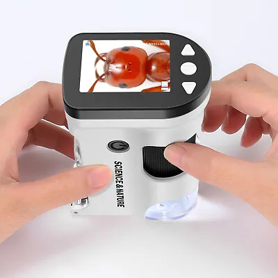 Buy 800X Handheld Digital Electronic Microscope Magnifier Professional Kids Biology  • 109.99$