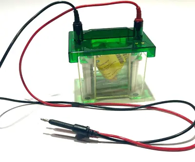 Buy Bio-rad Mini Protean 3 Cell  Tetra Cell For Ready Gel Precast Gels  • 599.99$