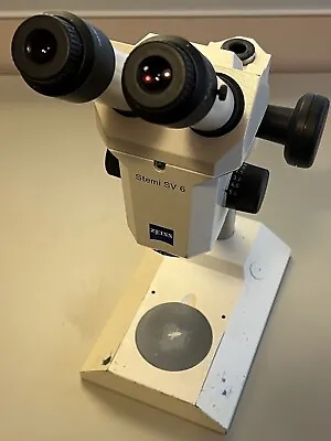 Buy Zeiss Stemi SV 6 Stereo Microscope W/ Stand,  0.63x Objective, And Eyepieces • 700$