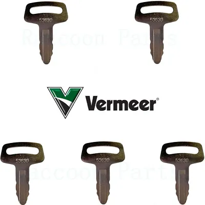 Buy 5 Vermeer Chipper Ignition Keys And Fits Grasshopper Mower Lay-Mor Sweepmaster • 13$