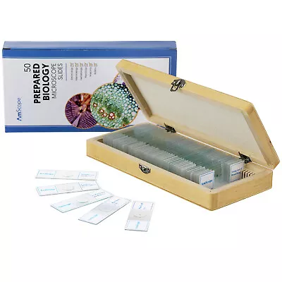 Buy AmScope PS50 50pc Homeschool Biology Prepared Microscope Glass Slides • 29.99$