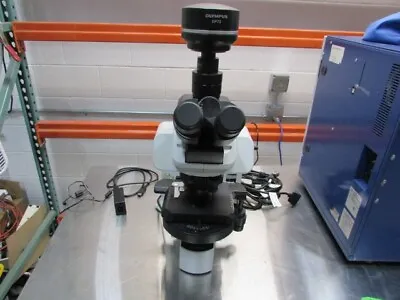 Buy Olympus BX61 Microscope UCB/With Camera • 5,000$