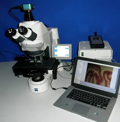 Buy Zeiss Axio Imager M1 Trinoc Marzhauser Stage EK14 Microscope Auto Pathology • 9,750$