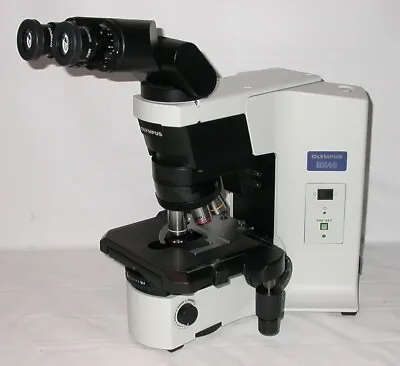 Buy Olympus Bx45 Ergo Microscope With Plan 2x, 4x, 10x And 40x Objectives • 4,500$