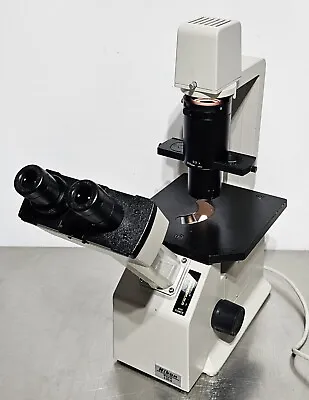 Buy Nikon TMS Inverted Phase Contrast Microscope • 749$
