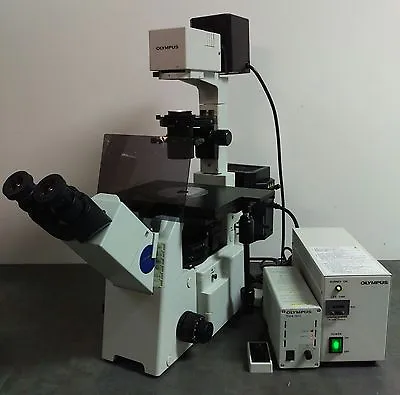 Buy Olympus Microscope IX51 Inverted Fluorescence And Phase Contrast • 12,950$