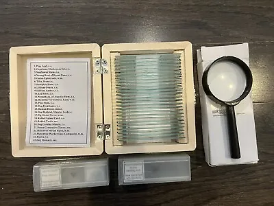Buy AmScope 25 Prepared Microscope Slides Glass W/ Wooden Box. Xtra Slides & Mag Gls • 25$