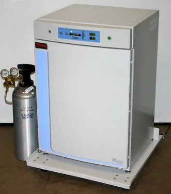 Buy Thermo Scientific Forma Steri Cycle Co2 Direct Heat Incubator, Model 370 • 4,175$