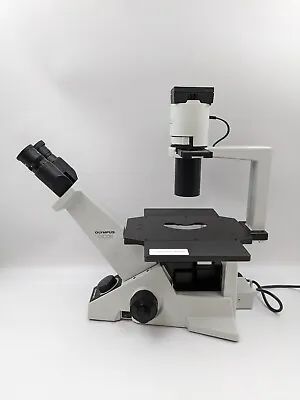Buy Olympus CKX31 CKX31SF Inverted Microscope • 599.99$