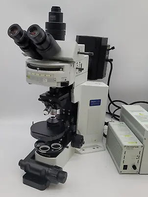Buy Olympus Microscope BX51 WI For Electrophysiology And Water Immersion • 13,750$