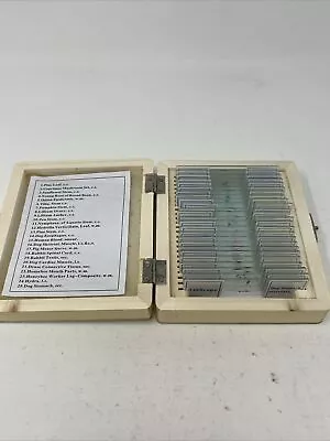 Buy AmScope 25 Prepared Microscope Slides Glass With Wooden Box Zoology Botany • 10$