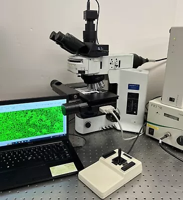 Buy Olympus BX51 Scanning Fluorescence Prior Proscan 2 Microscope 5MP Cam • 12,950$