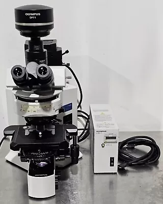 Buy Olympus BX51 Darkfield/BF/DIC/Fluorescence Microscope BX51TRF • 7,490$
