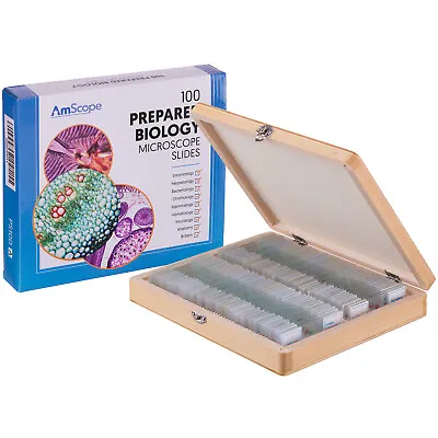Buy AmScope PS100A 100 PC Prepared Biological Microscope Glass Slides - Set A • 32.99$