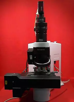 Buy Olympus BX45TF Microscope 100/220/240V, 0.8/0.4A, 50/60Hz • 1,975$