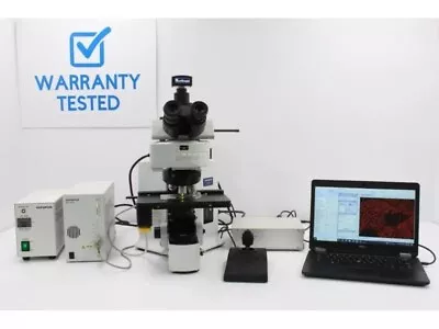 Buy Olympus BX61 Fluorescence Microscope With Motorized XY Stage (New Filters)  • 11,495$