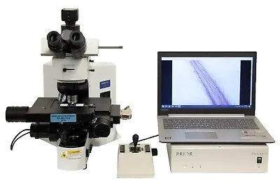 Buy Olympus BX51 Microscope W/ Prior ProScan II Motorized Stage + More USED (9019)R • 15,675$