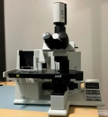 Buy Olympus BX40F-3 Microscope  With U-TR30-2 Trinocular Head , QI Cam • 1,500$