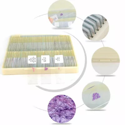 Buy 100PCS Mammal Tissue Sections Histology Prepared Specimen Microscope Slides • 56.99$