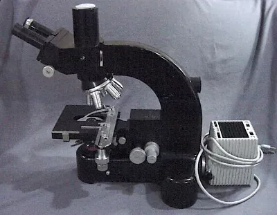 Buy Leitz Ortholux 1 Microscope W Apo + Fl Oil Objectives +  100W Zeiss Lamp • 500$